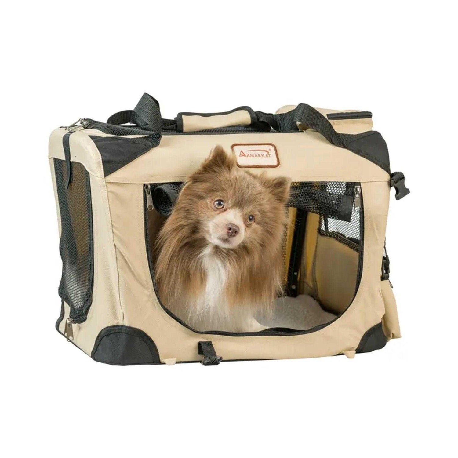 Small fluffy dog in beige soft-sided mesh pet carrier with black trim, breathable and portable