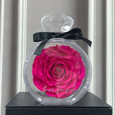 Clear acrylic case with a large pink rose inside, black ribbon bow, and elegant display