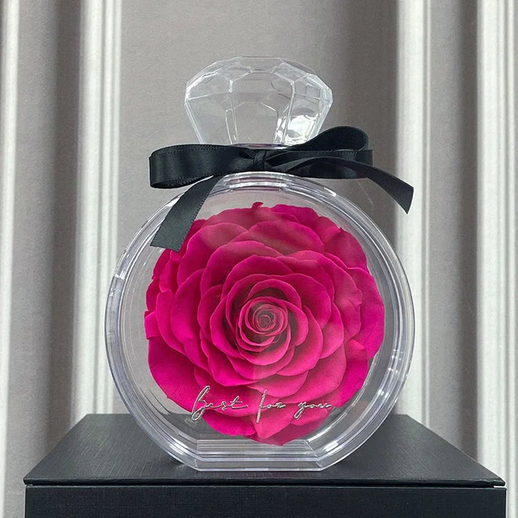 Clear acrylic case with a large pink rose inside, black ribbon bow, and elegant display