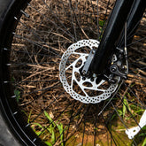 Close-up of a bicycle front wheel with disc brake and black spokes outdoors
