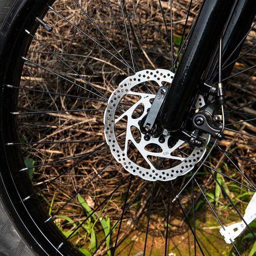 Close-up of a bicycle front wheel with disc brake and black spokes outdoors