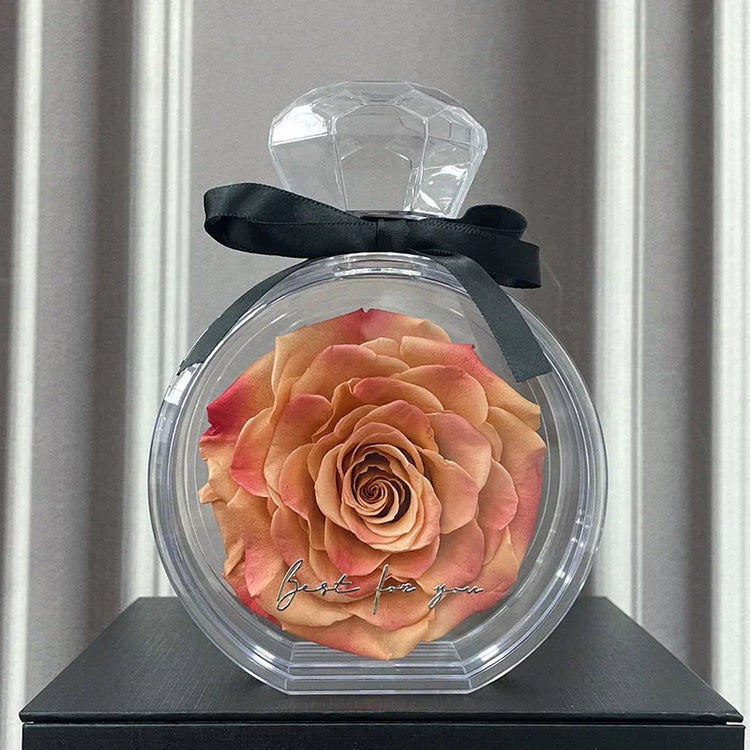 Large peach-pink artificial rose in clear round acrylic display case with black ribbon bow