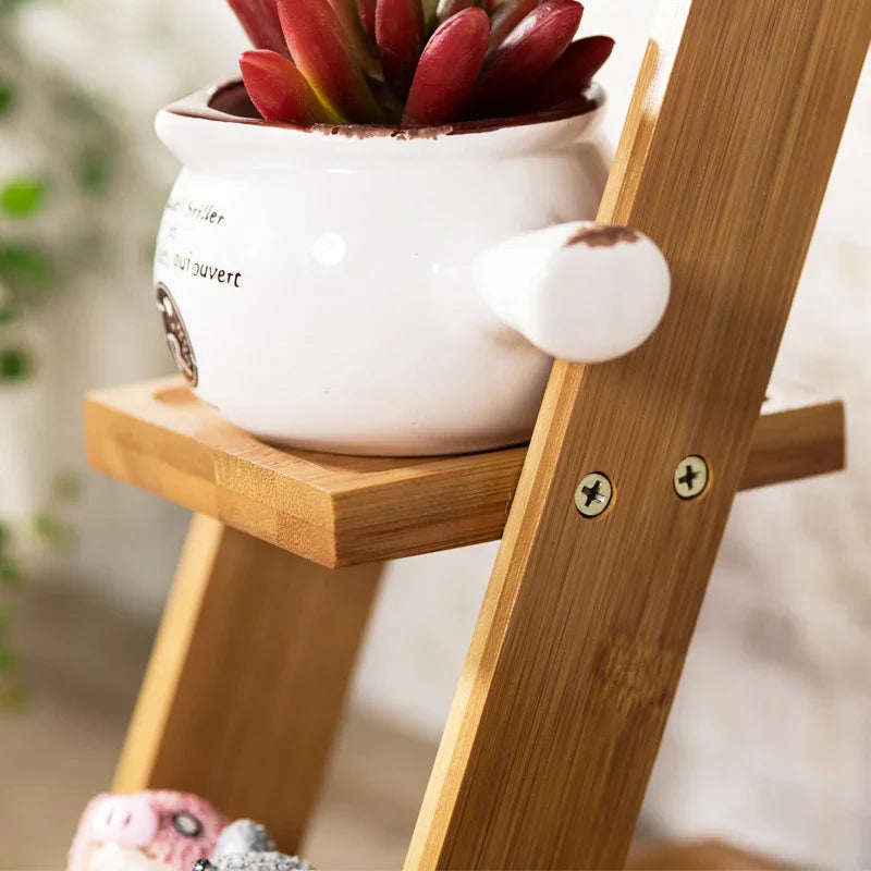 Close-up of a ceramic planter with red succulent on a wooden bamboo shelf