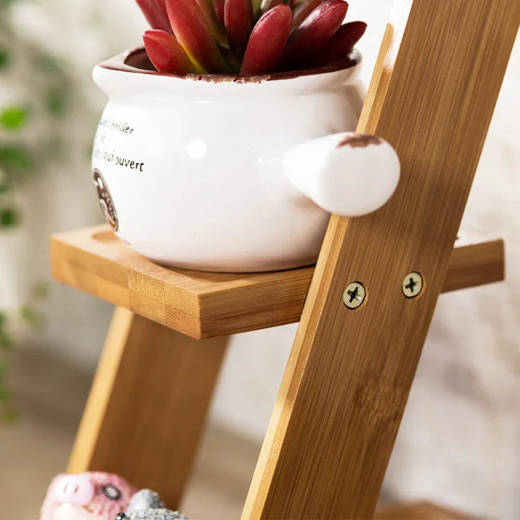 Close-up of a ceramic planter with red succulent on a wooden bamboo shelf