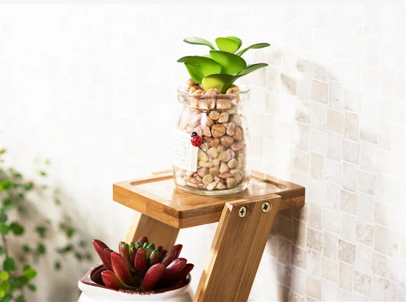 Glass jar with green succulent plant and pebbles on wooden stand, bright tiled background