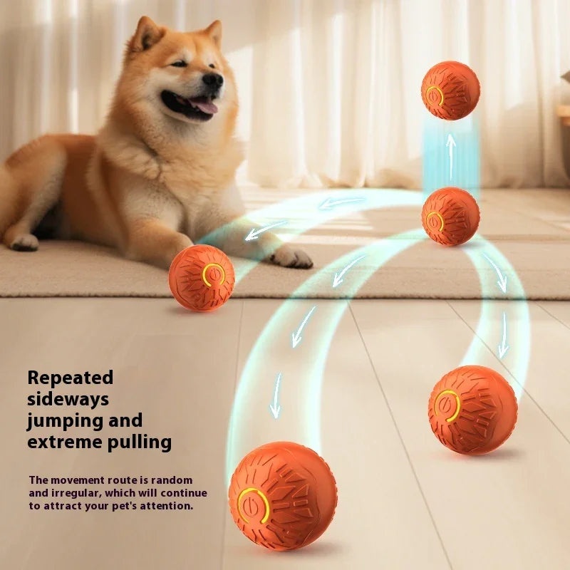 Brown fluffy dog playing with orange textured interactive ball toy on light wood floor