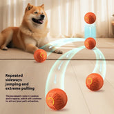 Brown fluffy dog playing with orange textured interactive ball toy on light wood floor