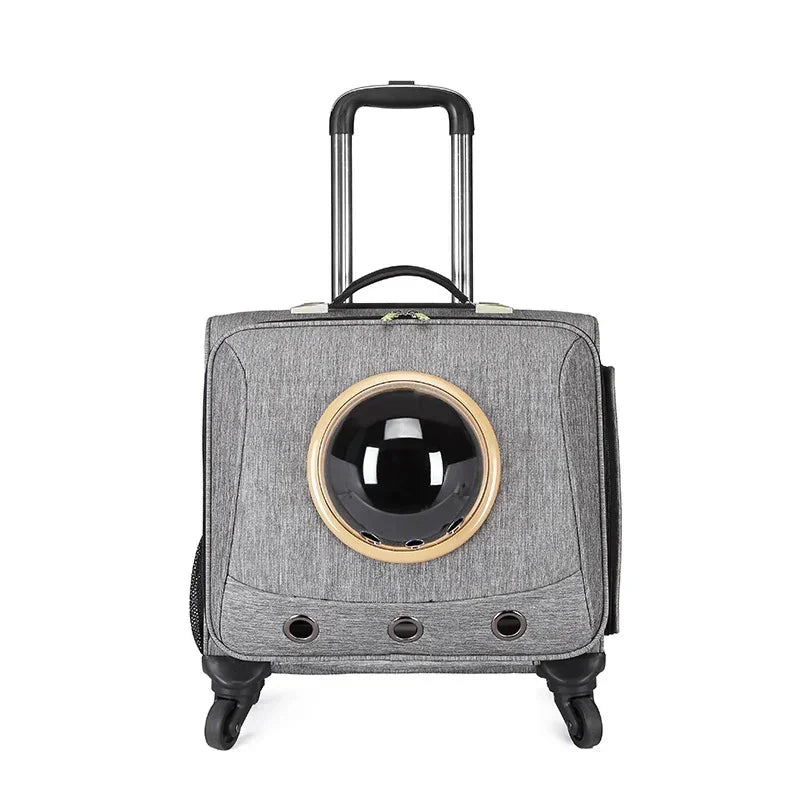 Gray rolling pet carrier with transparent bubble window and ventilation holes, modern design