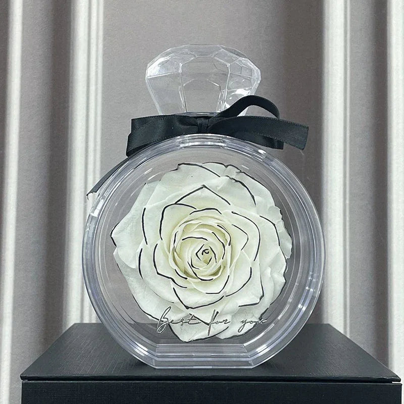 Large white rose with black outline in clear round display case with black bow, gift decor
