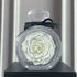 Large white rose with black outline in clear round display case with black bow, gift decor