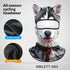 Cycling balaclava with husky dog print, ice silk and thermal velvet materials, full face coverage.