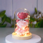 Pink plush teddy bear with silk rose and fairy lights under glass dome, decorative gift