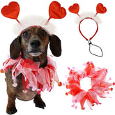 Dog wearing red and white heart headband and sheer ruffle collar, playful festive pet costume