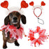 Dog wearing red and white heart headband and sheer ruffle collar, playful festive pet costume