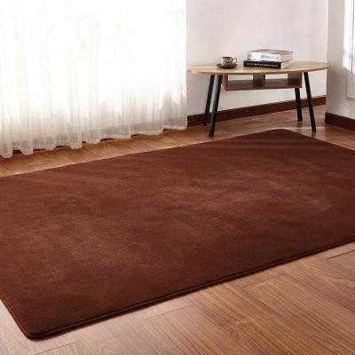 Brown rectangular area rug with soft texture on hardwood floor in modern living room